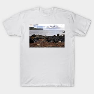 Sheep feeding on seaweed, Skye T-Shirt